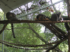 s_A_PICT0074_thumb.png